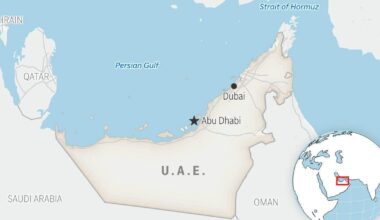 United Arab Emirates says it will leave OPEC effective May 1 | Ap-business