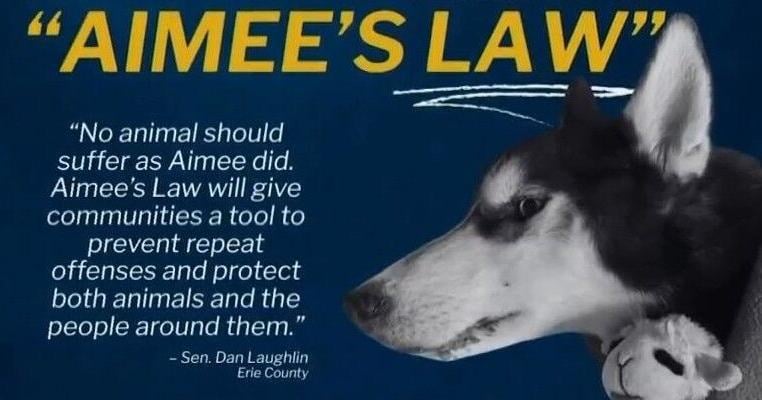 Aimee’s Law Bill Number Pushing for an Animal Abuse Registry | News