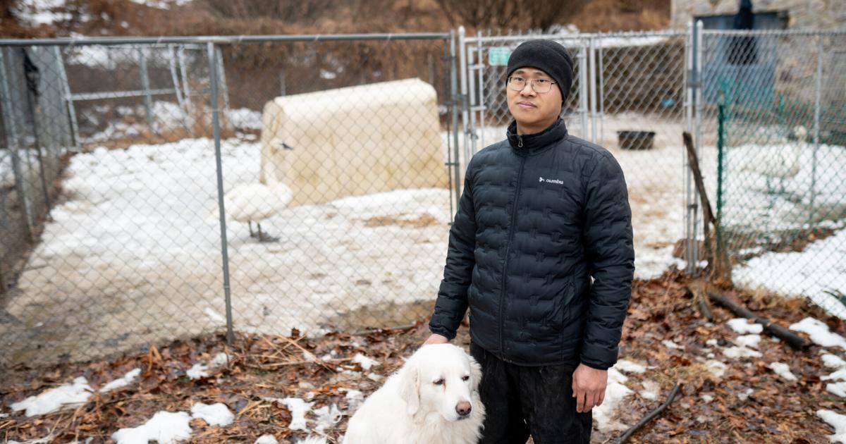 Ge Fangyuan, a farmer in Washington Township, stands with his dog for a portrait at the farm Feb. 20, 2026. Fangyuan's farm was disrupted after a sewer main break dumped about 8,000 gallons of raw sewage in November 2024. - WFMZ.com