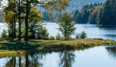 City of Erie Updates Parks, Trees and Open Space Management | News