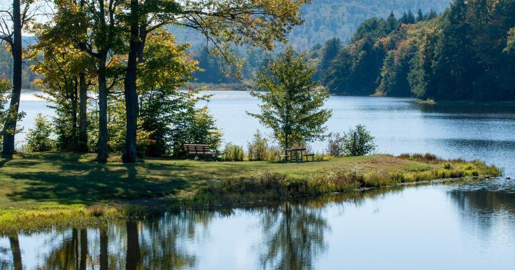 City of Erie Updates Parks, Trees and Open Space Management | News