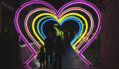 Erie Zoo’s Glow Wild Festival Lights Up Starting Today | News