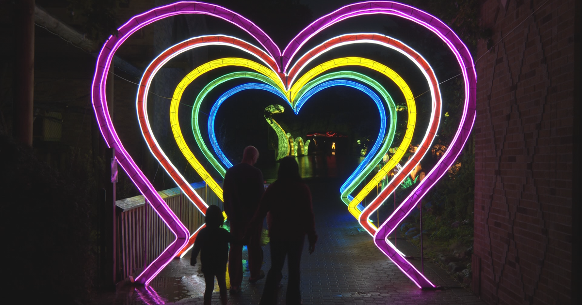 Erie Zoo’s Glow Wild Festival Lights Up Starting Today | News