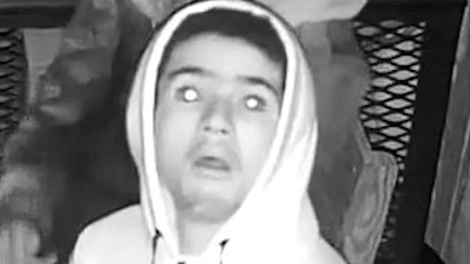 Photo of a suspected individual involved in 2026 Waldameer break-ins