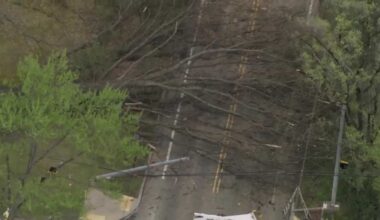 Tree falls on Peebles Road in McCandless, Pennsylvania