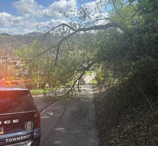 Tree, downed wires in Allegheny County on April 19, 2026