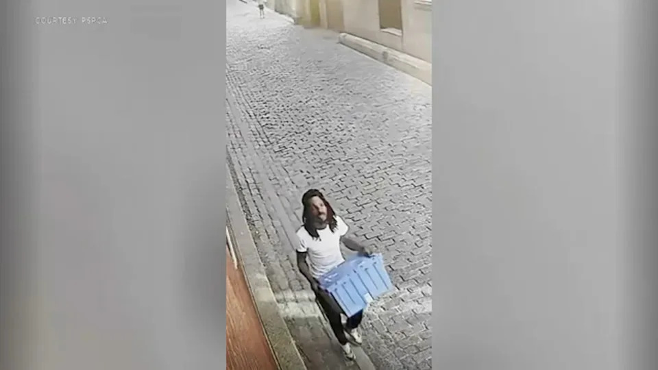 Authorities need help identifying a person of interest in two cases of abandoned puppies in Philadelphia's Old City section. PSPCA