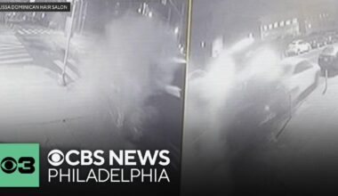 Surveillance video shows moment of impact in Philadelphia crash that killed driver and dog