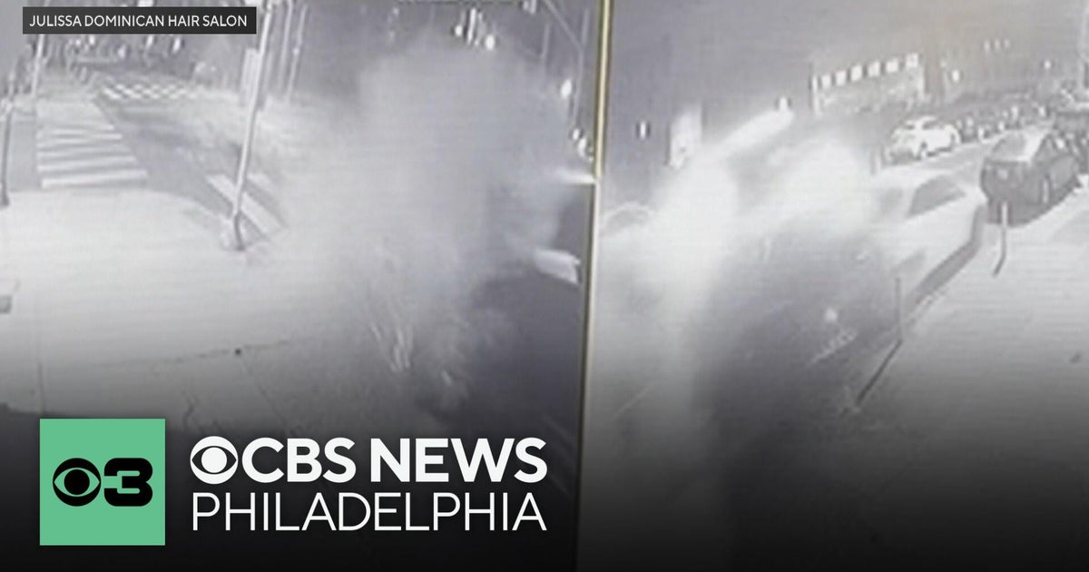 Surveillance video shows moment of impact in Philadelphia crash that killed driver and dog