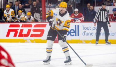 Alexeyev fits in well with Wilkes-Barre/Scranton – Wilkes-Barre Citizens' Voice