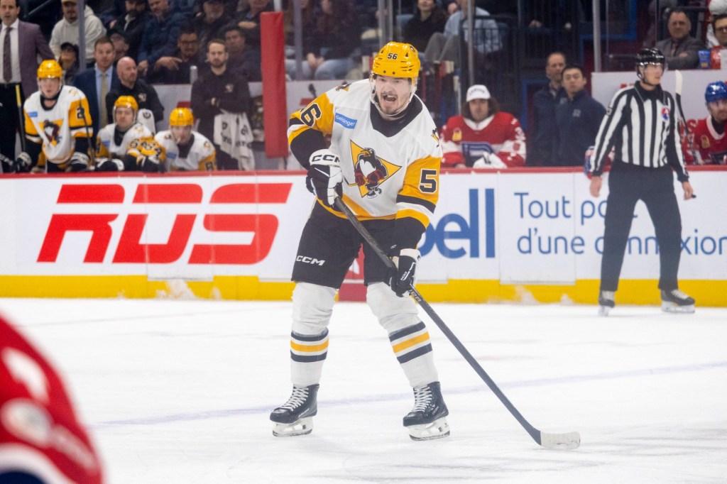 Alexeyev fits in well with Wilkes-Barre/Scranton – Wilkes-Barre Citizens' Voice