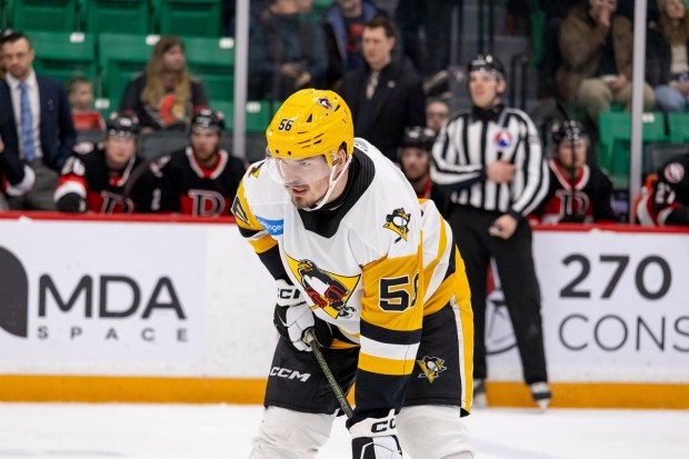 Wilkes-Barre/Scranton Penguins defenseman Alex Alexeyev. COURTESY OF THE WBS PENGUINS