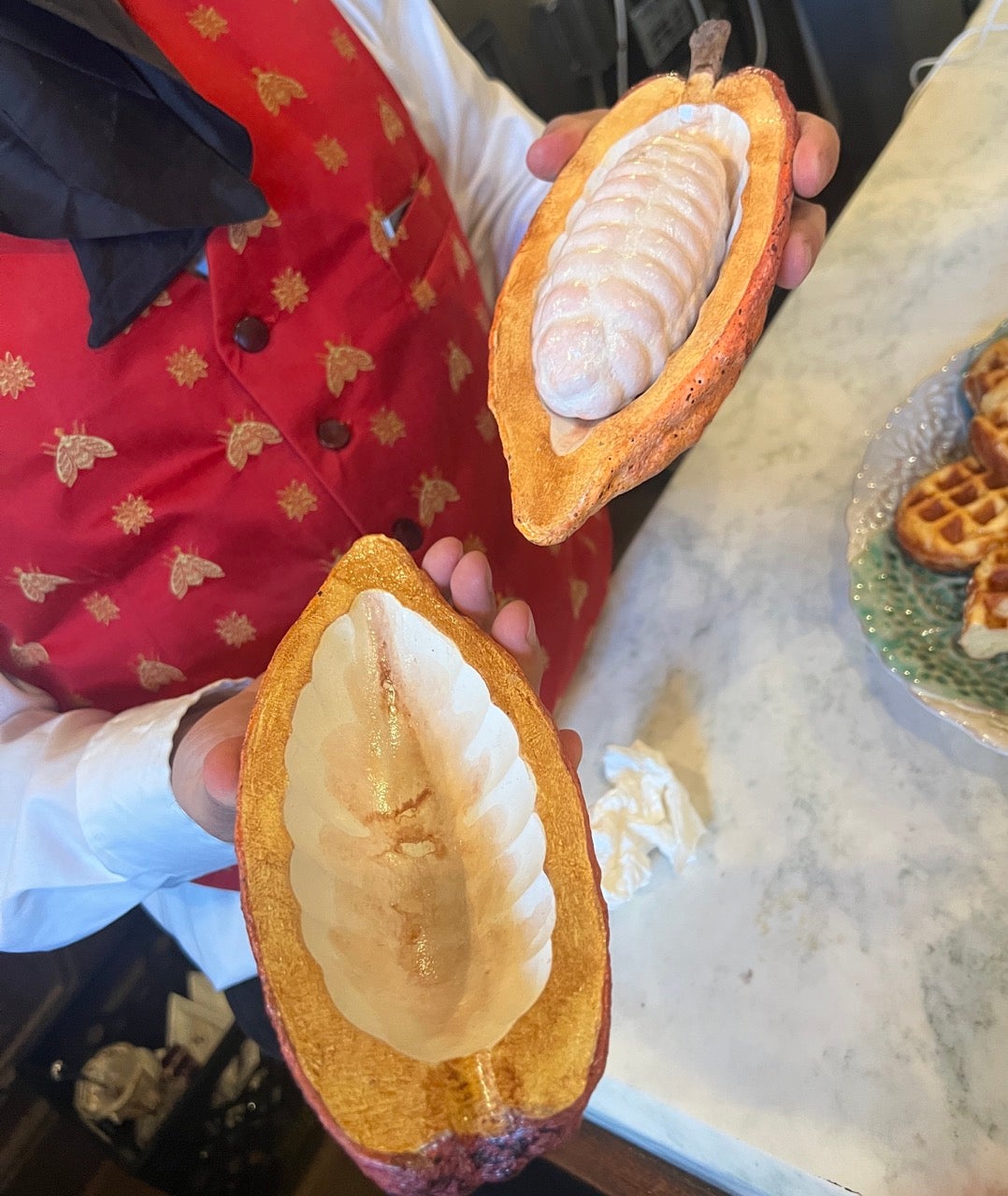 A photo of an artificial cacoa pod. The raw pod before cocoa is processed.