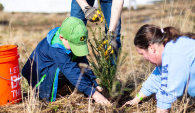 Celebrate Earth Day with a Community Cleanup in NEPA