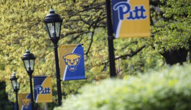 Teaching at Pitt: Human-AI collaboration— building a comprehensive student-feedback ecosystem  | University Times