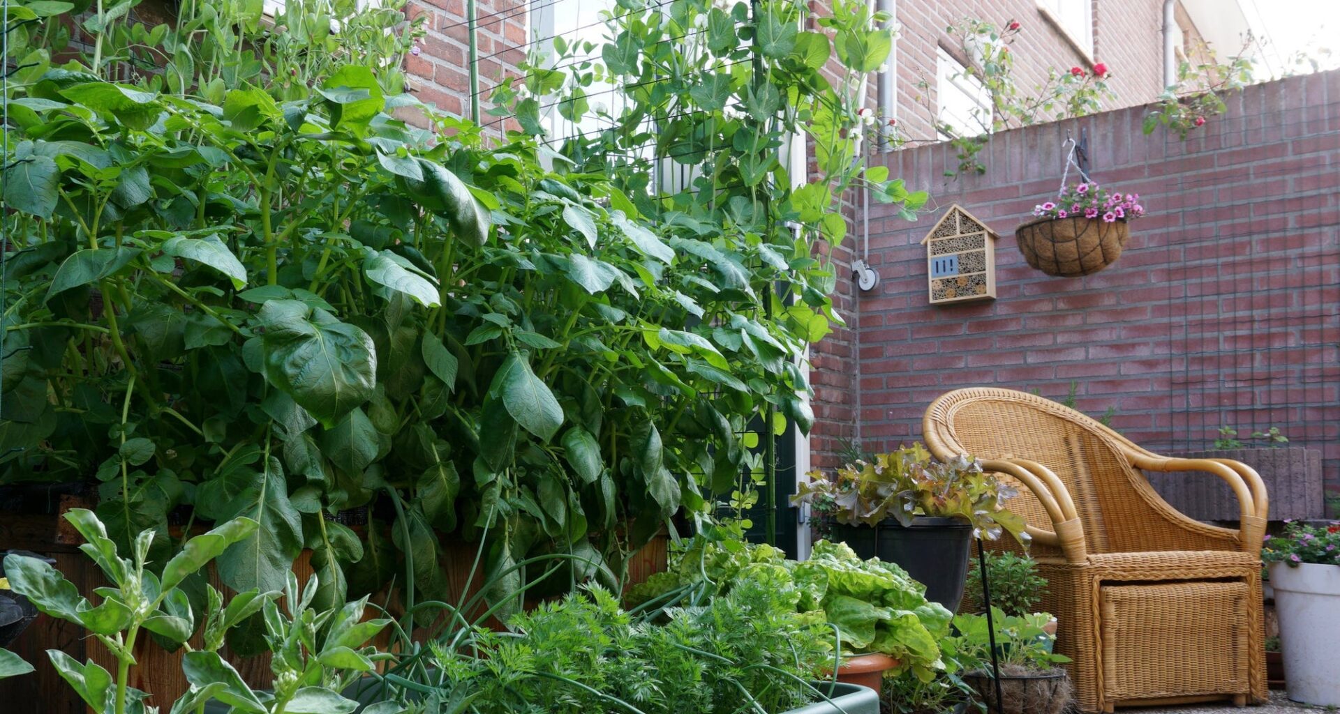 Urban Gardening Ideas to Get Growing in Philly