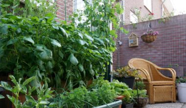 Urban Gardening Ideas to Get Growing in Philly