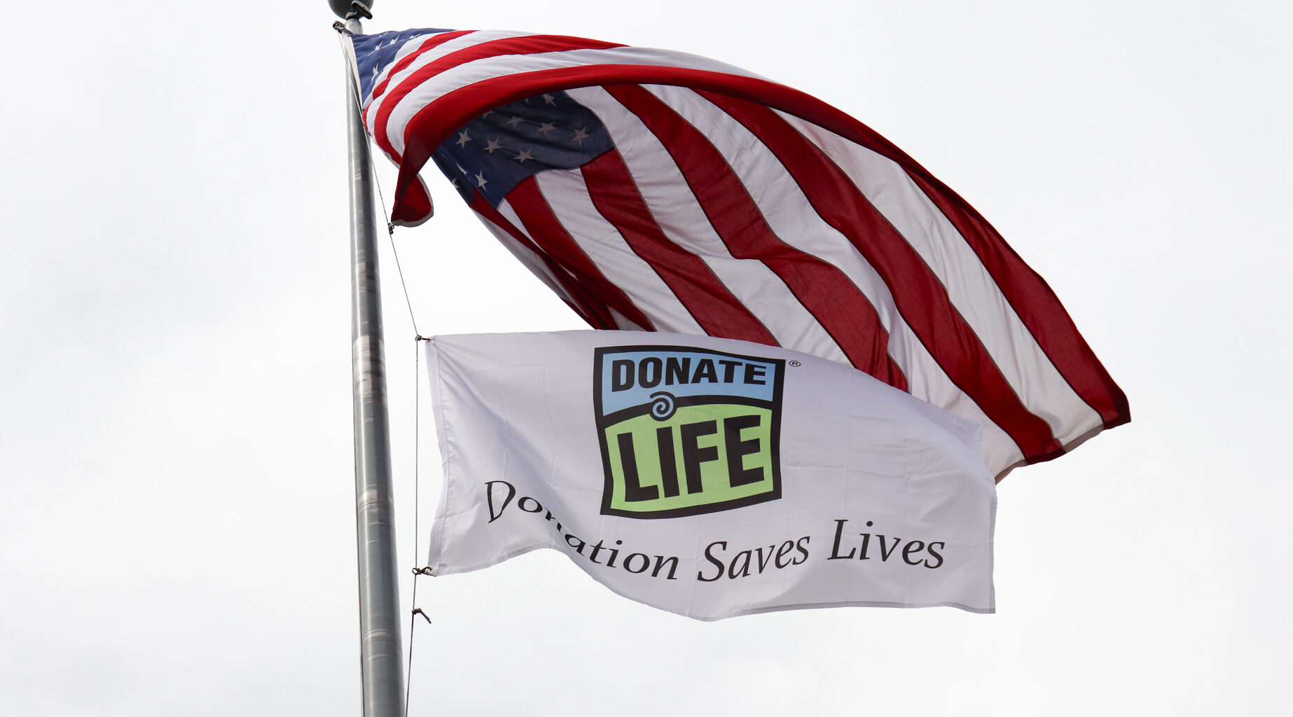 Celebrating a Second Chance at Life