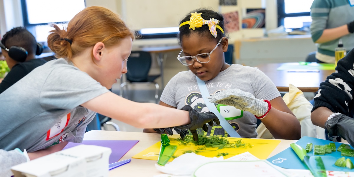 Teaching Kids to Cook is Public Health