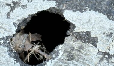 Mayor Parker proposes delivery tax to pay for 'pothole squads'