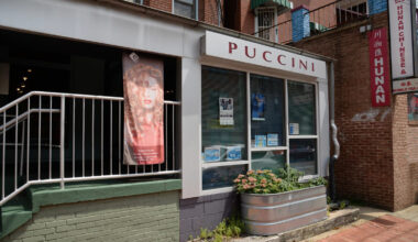 ‘The haircut is always elite’: 52 years of style from Puccini Hair Design