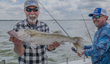 Lake Erie daily limits announced for 2026 fishing season
