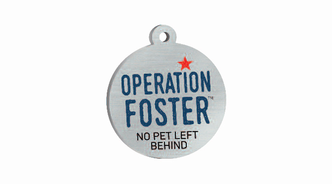 No Pet Left Behind: Operation Foster Reaches Milestone of 3,500+ Lives Saved