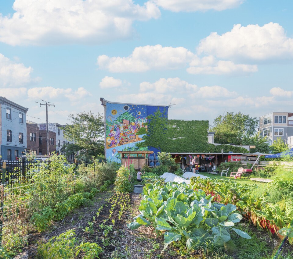 urban gardening philadelphia