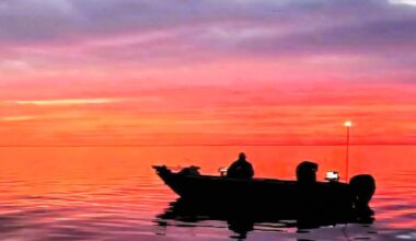 Walleye season kicks off on Lake Erie | News, Sports, Jobs