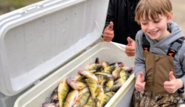 Lake Erie yellow perch — Gold rush begins | News, Sports, Jobs