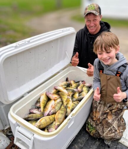 Lake Erie yellow perch — Gold rush begins | News, Sports, Jobs