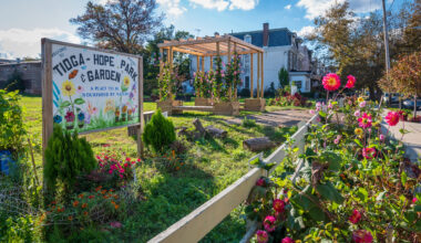 Near Philadelphia's New Green Spaces, a Dramatic Reduction in Crime