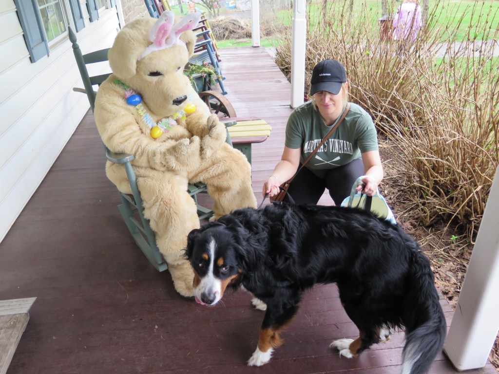 Berks pet store holds egg hunt for dogs.