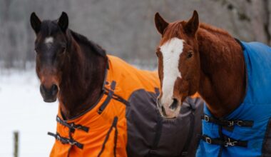 Lifelong Springfield resident, 101, is honoree of Wissahickon Day Parade of horses