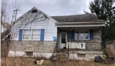 31 cats rescued, 76 removed dead from South Scranton hoarding house