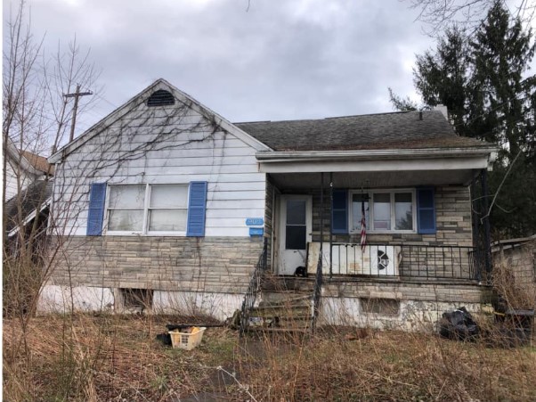 31 cats rescued, 76 removed dead from South Scranton hoarding house