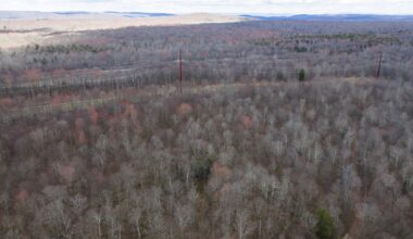 Firm tied to Project Gold data center campus buys 200-plus acres in Covington Twp.