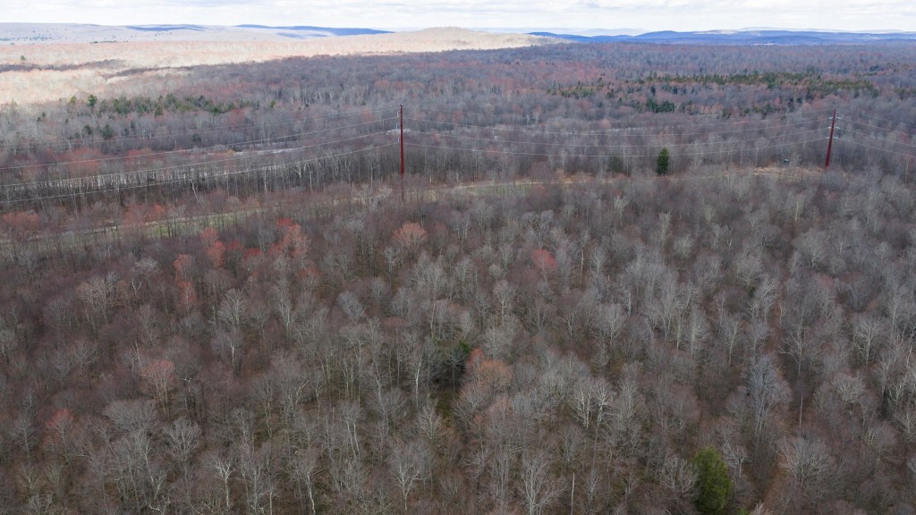 Firm tied to Project Gold data center campus buys 200-plus acres in Covington Twp.