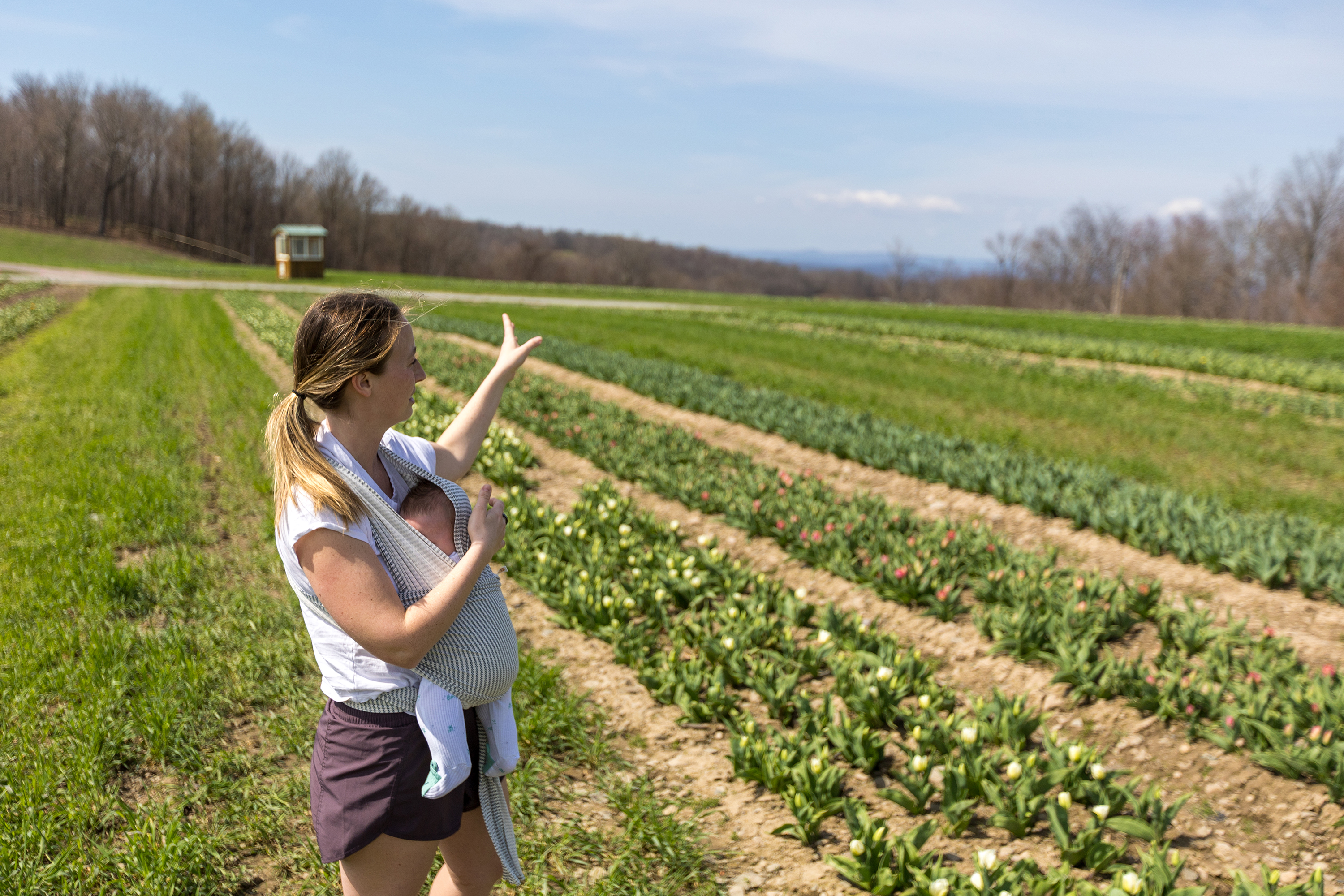 Farm Manager Julianna Roba gestures towards tulip fields at Lakeland...