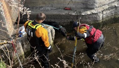 Look: Scared dog rescued from Lake Erie drainage basin