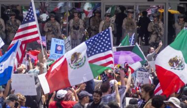 Diversity is Democratic