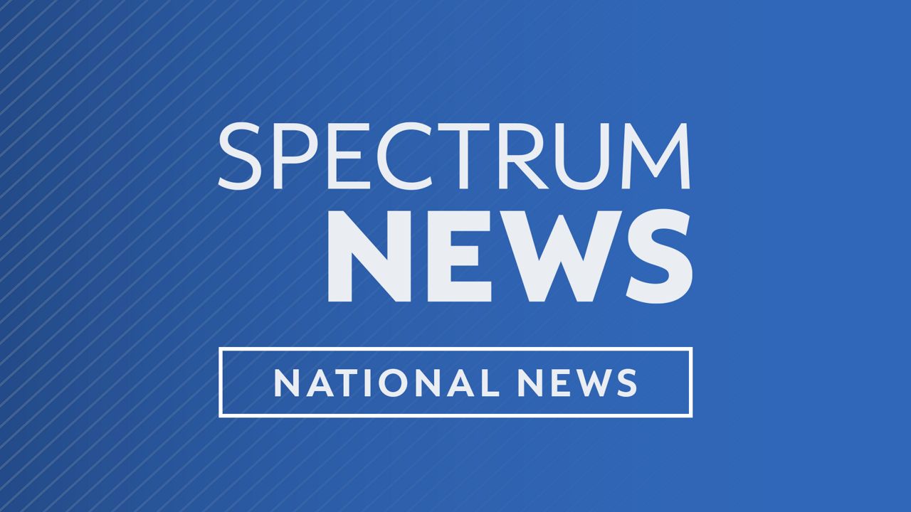 Toddler injured by wolf after crawling under Pennsylvania zoo's exterior metal fence