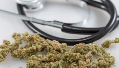 Pennsylvania Lawmakers Approve Bill To Allow Medical Marijuana Use In Hospitals For Terminally Ill Patients