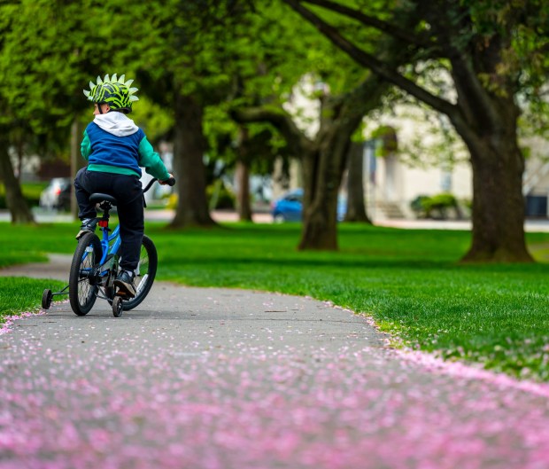 Wearing a long sleeve hoodie, Julian Gieger, 5, of Bethlehem rides his bike with his mother, Janine Pino (not shown), watching nearby Monday, April 20, 2026, during a cool day at the Bethlehem Rose Garden. After temperatures reached into the 80s late last week, they plummeted to below freezing in the Lehigh Valley, with the National Weather Service issuing a freeze warning for overnight Monday into Tuesday. Temperatures are expected return to normal and then be above average by the end of the week. Forecasters said highs will be in the 60s and 70s Wednesday through Friday. (April Gamiz/The Morning Call)