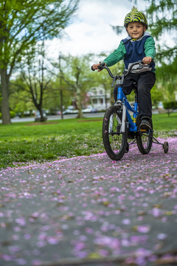 Wearing a long sleeve hoodie, Julian Gieger, 5, of Bethlehem rides his bike with his mother, Janine Pino (not shown), watching nearby Monday, April 20, 2026, during a cool day at the Bethlehem Rose Garden. After temperatures reached into the 80s late last week, they plummeted to below freezing in the Lehigh Valley, with the National Weather Service issuing a freeze warning for overnight Monday into Tuesday. Temperatures are expected return to normal and then be above average by the end of the week. Forecasters said highs will be in the 60s and 70s Wednesday through Friday. (April Gamiz/The Morning Call)