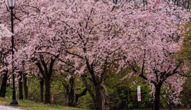 Freeze watch for Lehigh Valley after record warmth
