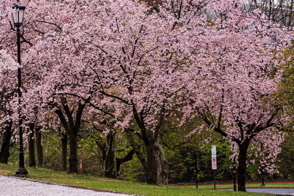 Freeze watch for Lehigh Valley after record warmth