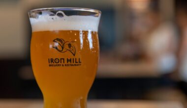 Will Iron Hill restaurant at Lehigh Valley Mall reopen?