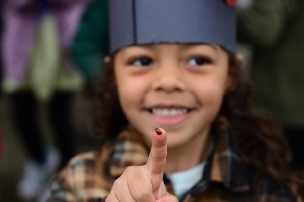 Preschooler Aella Montemayor is all smiles as she watches a ladybug on her fingertip before it takes flight Wednesday, April 22, 2026. Students released 2,000 beneficial ladybugs into their schoolyard to protect the environment and local vegetation for Earth Day at Chesterbrook Academy in Bethlehem. (Monica Cabrera/The Morning Call)