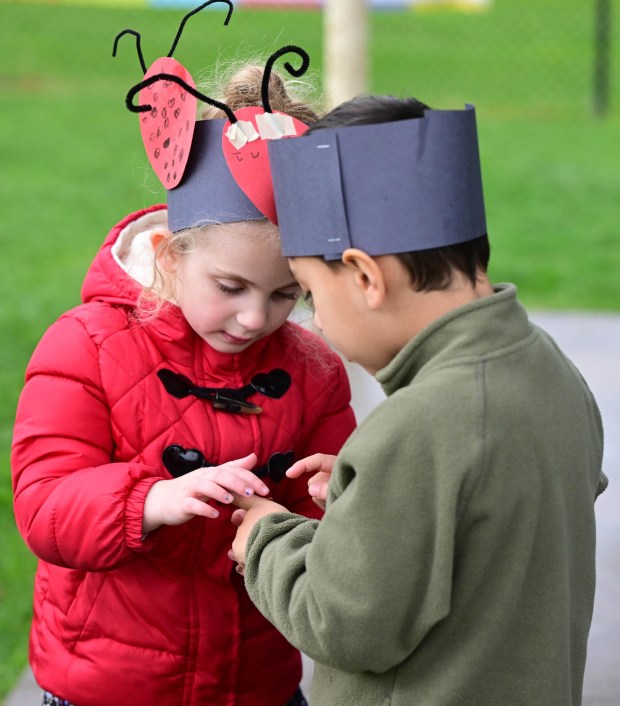 Wearing ladybug hats they made, preschool classmates Avery Ruf and Julian Negron, watch ladybugs before the bugs take flight Wednesday, April 22, 2026, at Chesterbrook Academy in Bethlehem Township. Students released 2,000 beneficial ladybugs into their schoolyard to protect the environment and local vegetation for Earth Day at Chesterbrook Academy in Bethlehem. (Monica Cabrera/The Morning Call)